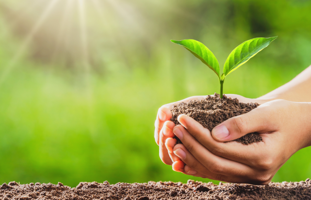 Risk & Project Management - Benefits Access